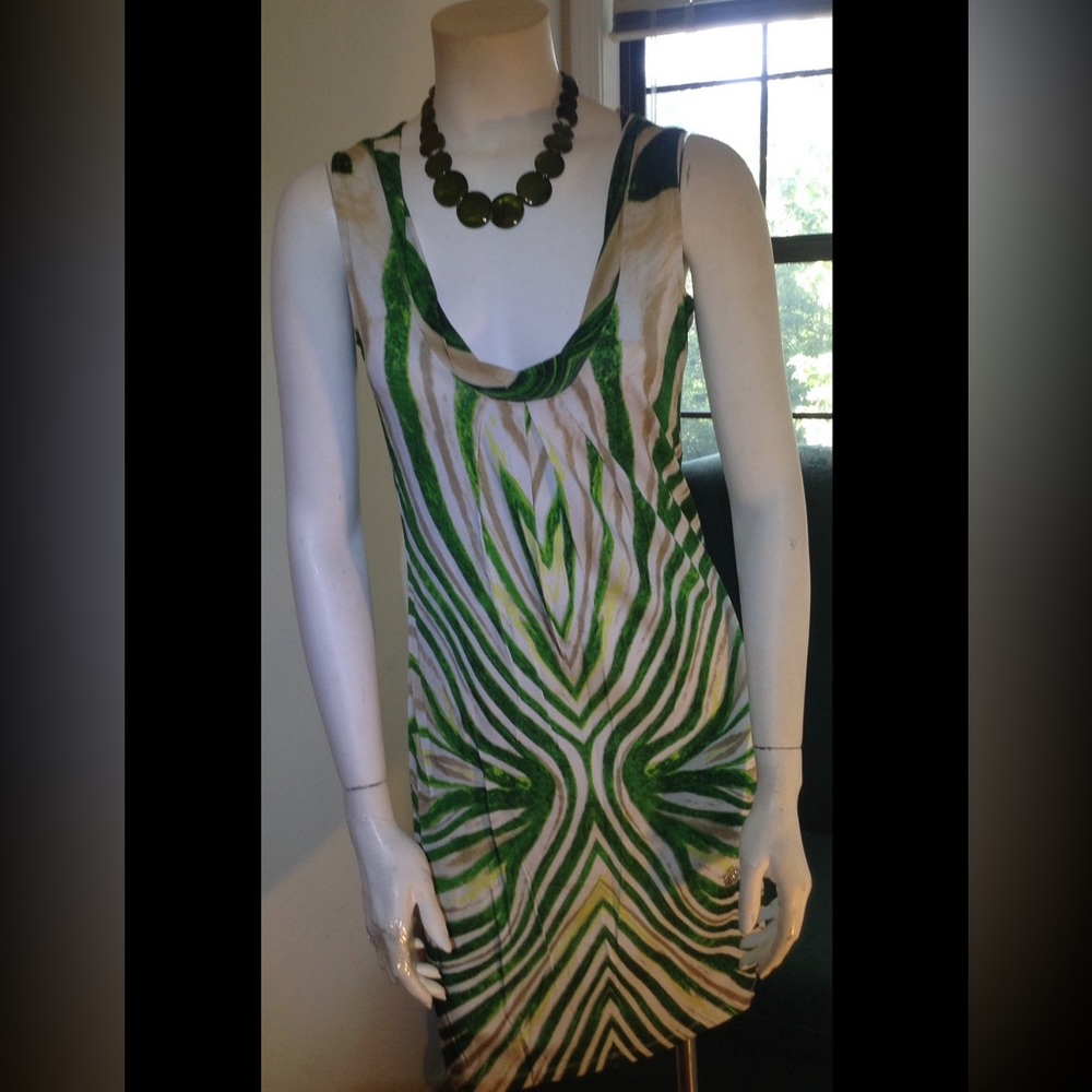 Roberto Cavalier printed mini dress